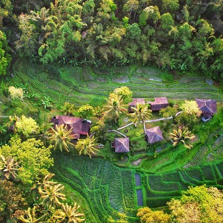 Oemah Tepi Sawah Villa Jatiluwih Bagian luar foto