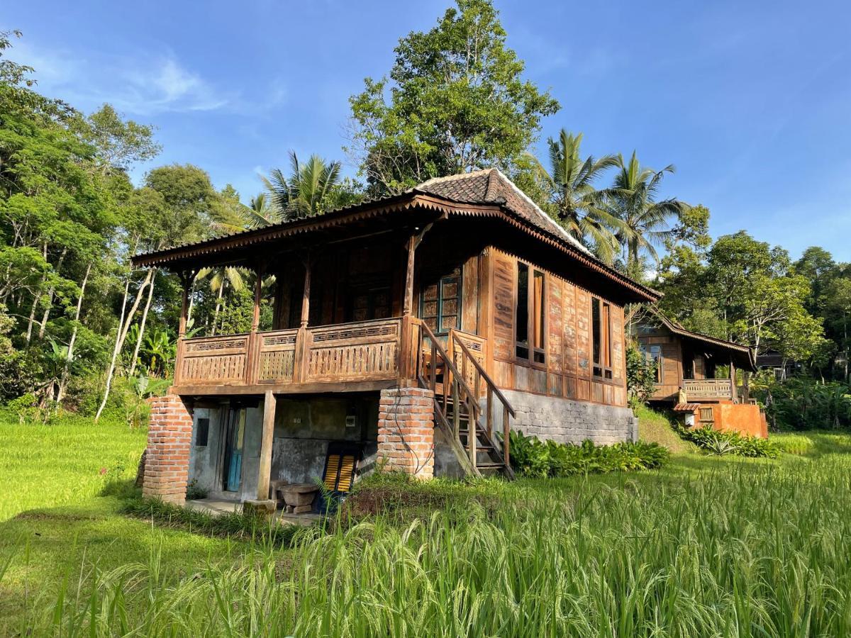 Oemah Tepi Sawah Villa Jatiluwih Bagian luar foto