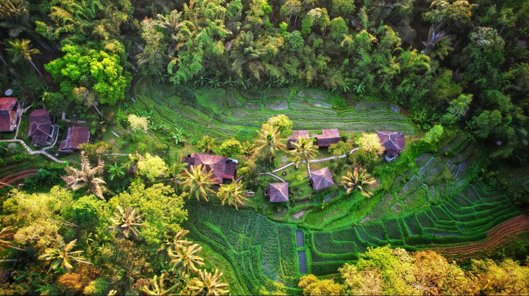 Oemah Tepi Sawah Villa Jatiluwih Bagian luar foto