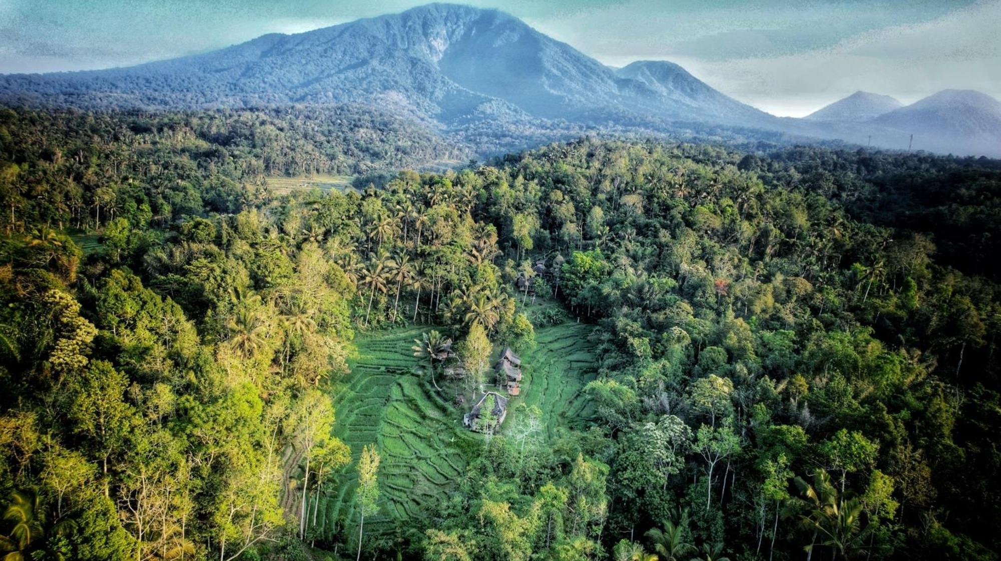 Oemah Tepi Sawah Villa Jatiluwih Bagian luar foto