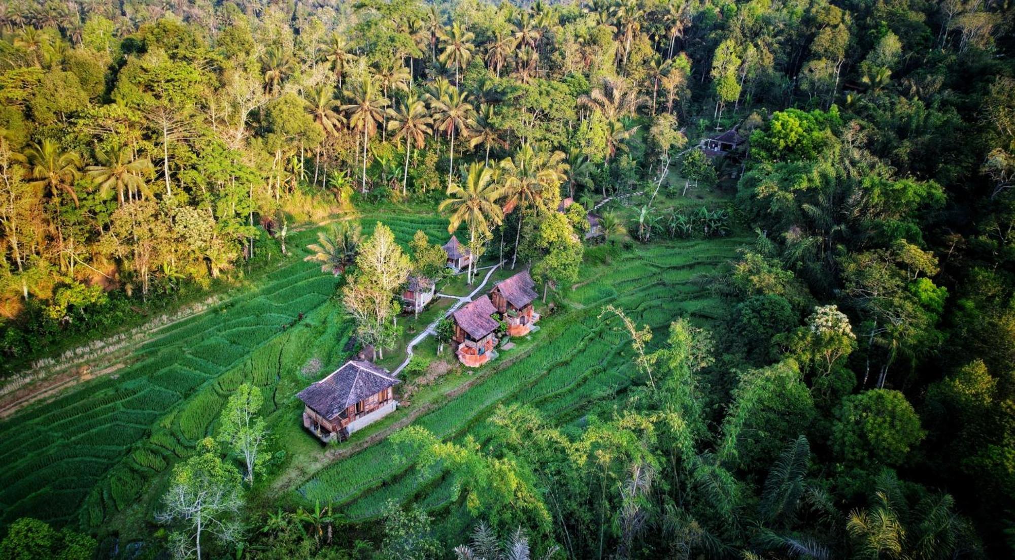 Oemah Tepi Sawah Villa Jatiluwih Bagian luar foto